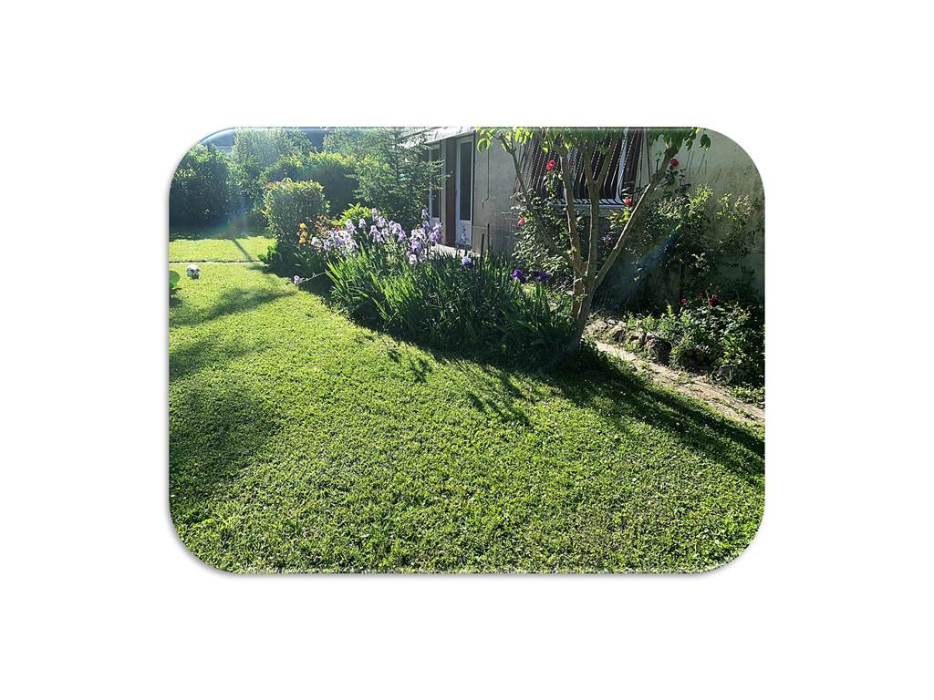 Terrasse Iris fond blanc