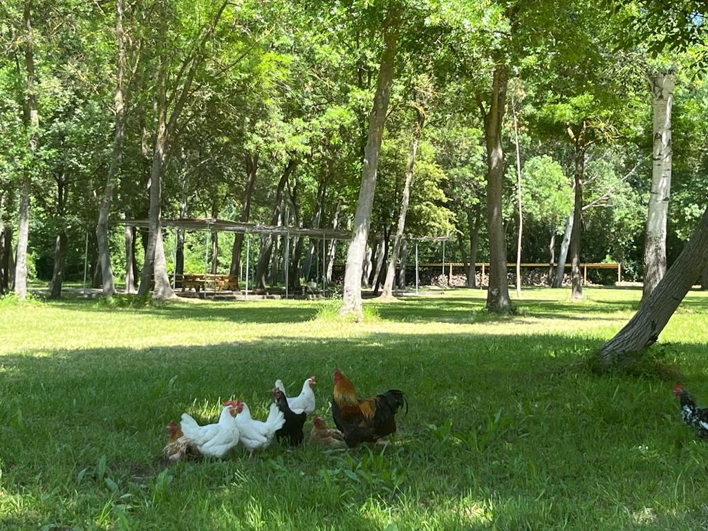 PARC 5 Ha