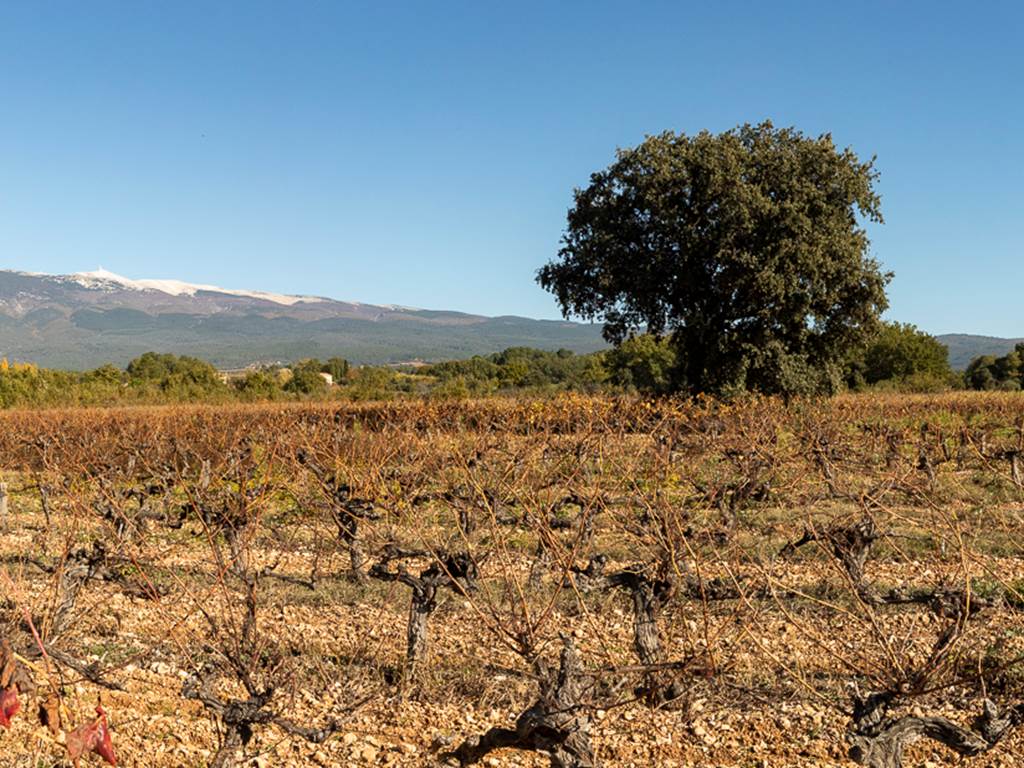 165A8616-Panorama