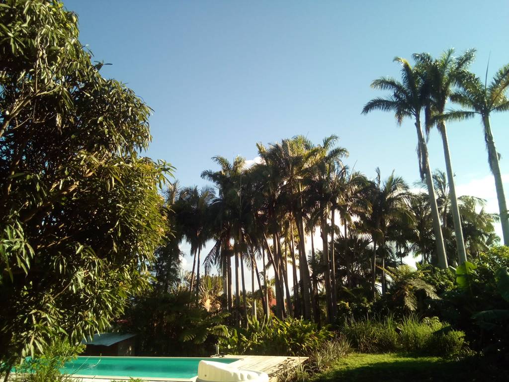 ...et un grand jardin