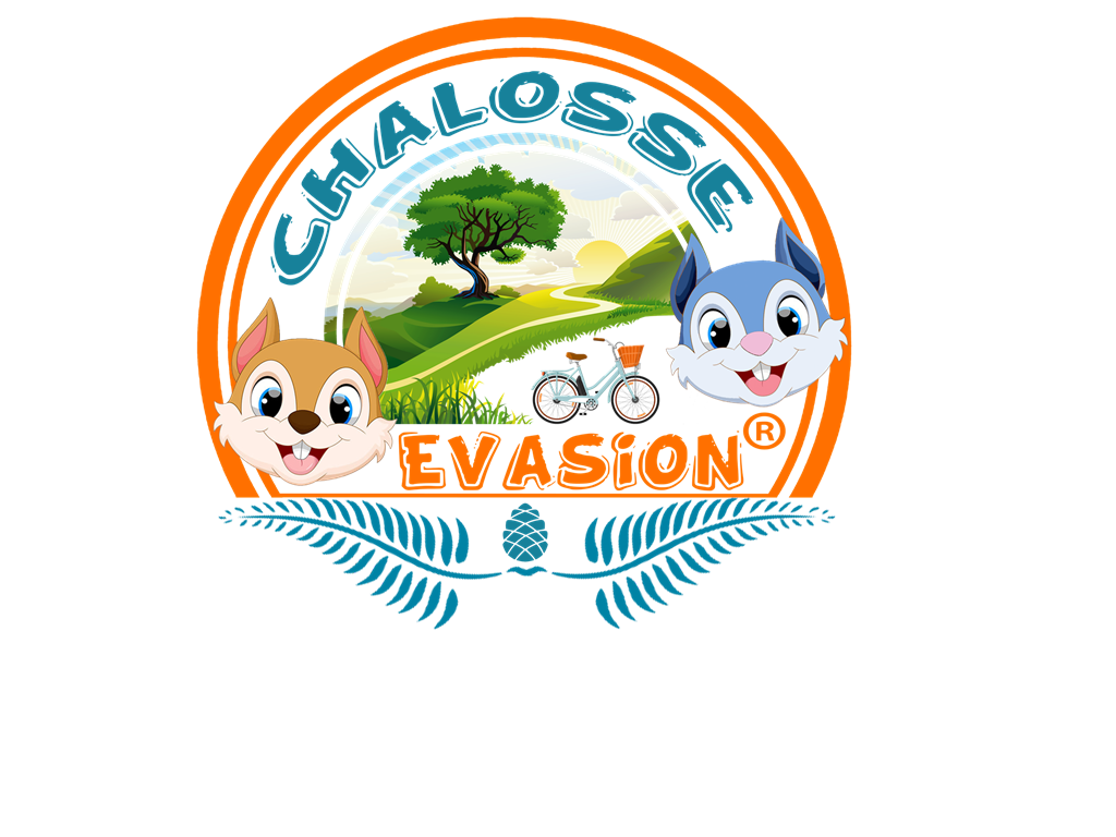 Logo Chalosse Evasion Officiel