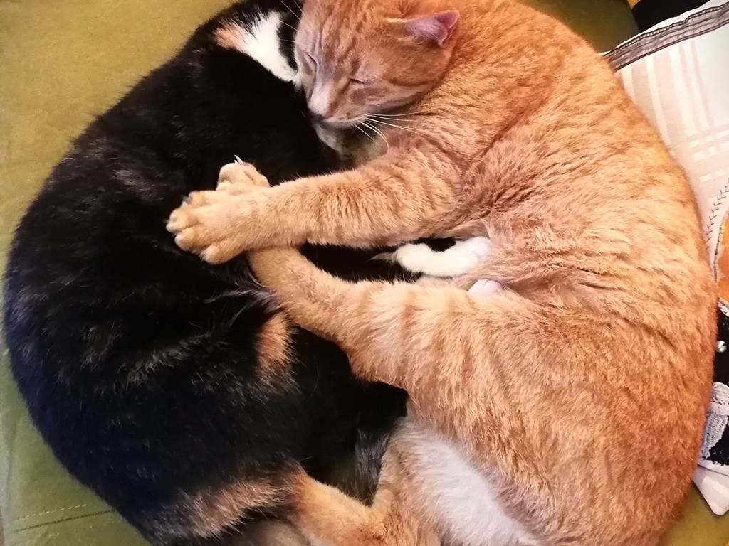 Sissi & Winnie
