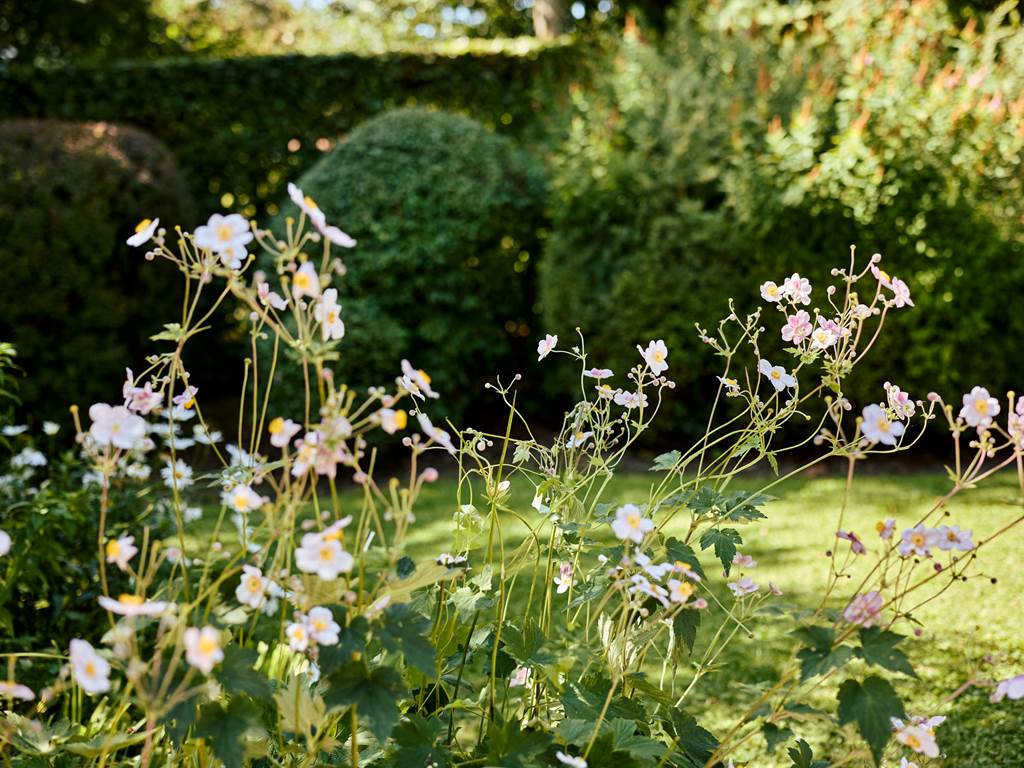 2025_08_07Gi^teMireille140