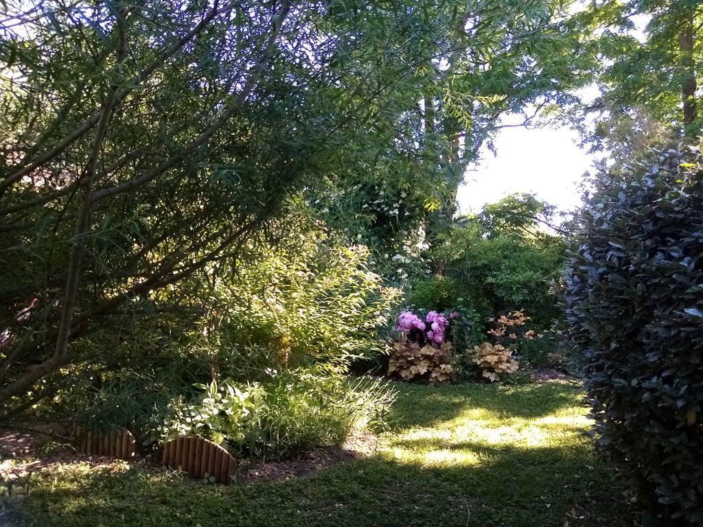 Un petit coin de paradis_Jardin