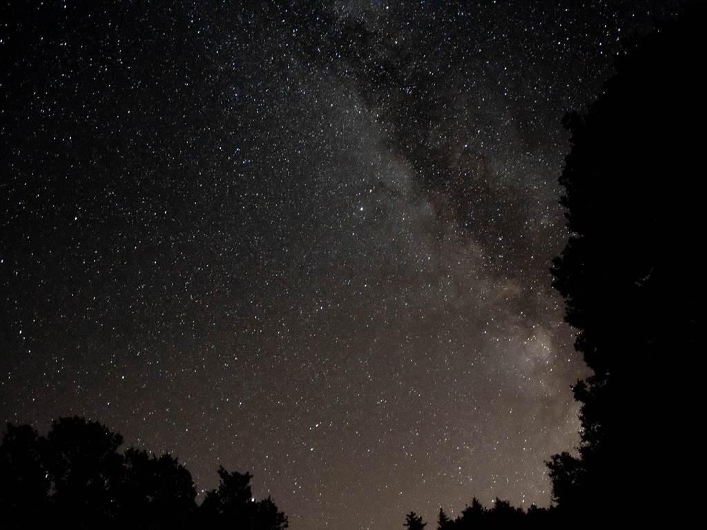 eco-gite-centre-bretagne-foret-totem-nuit-étoilée