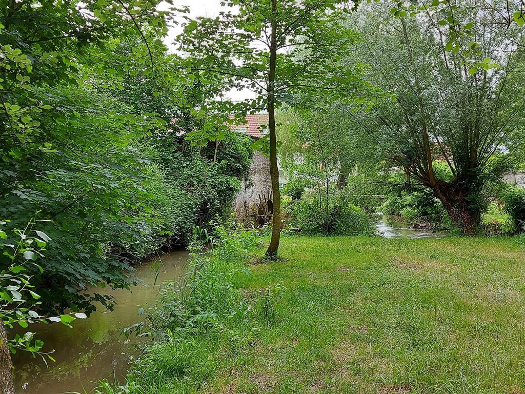La planquette en amont de l'ancien moulin