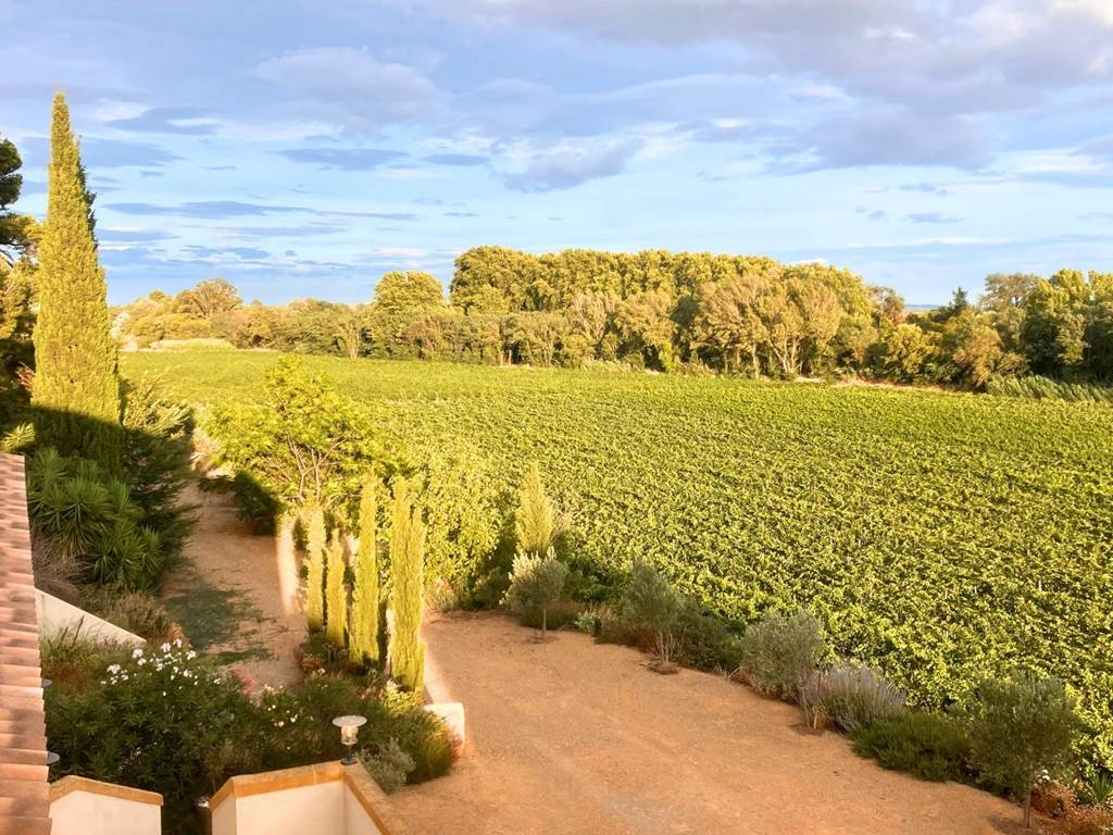 Occitanie Winery South of France