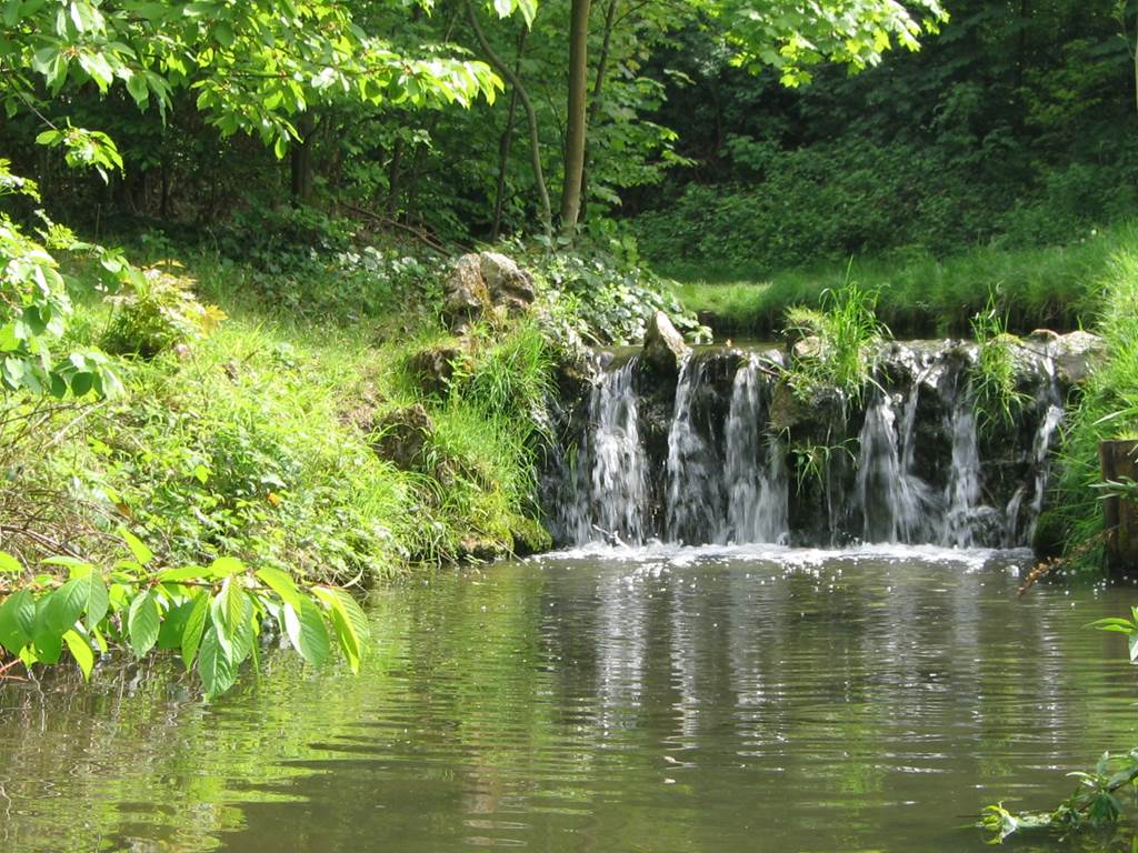 Bois_de_Vincennes_printemps_2009_-_005