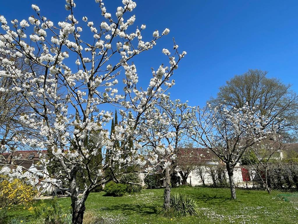 Le printemps au jardin