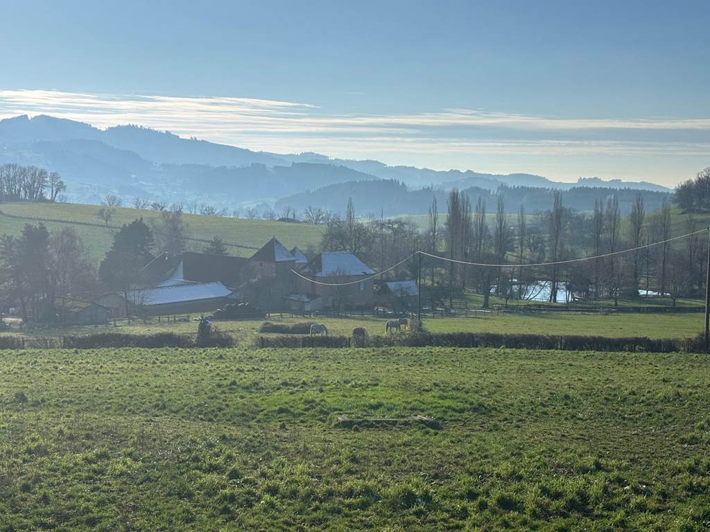 Clos Lavaux vue du chemin du haut