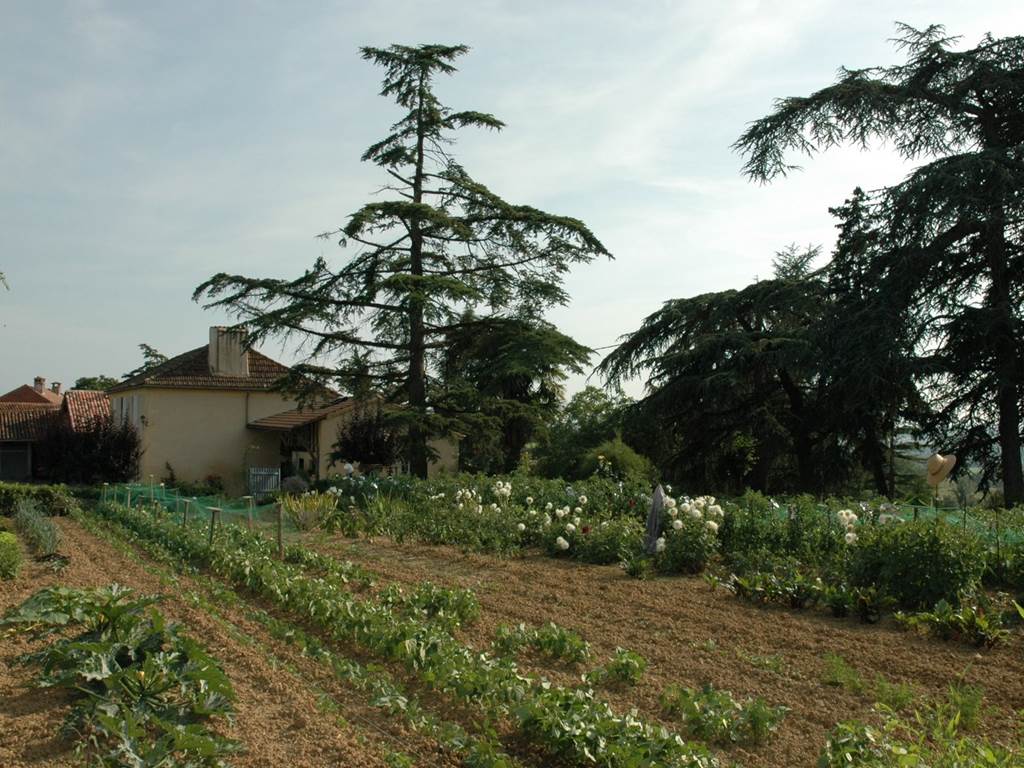 Jardin