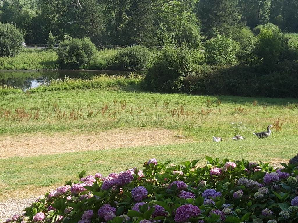 Parc du château de la Caloterie