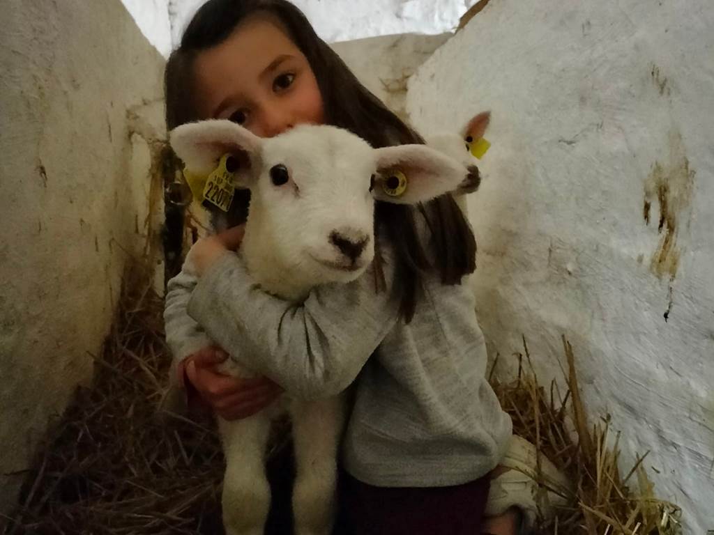 animaux de la ferme