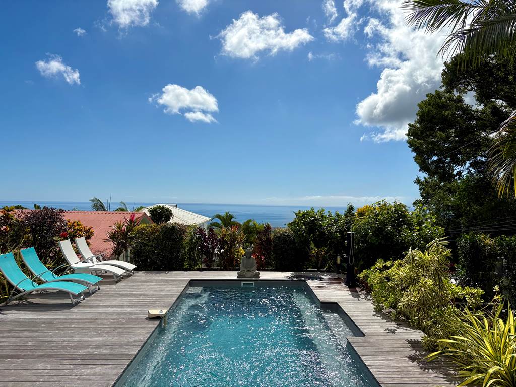 piscine au sel chauffée au milieu d'un jardin tropical