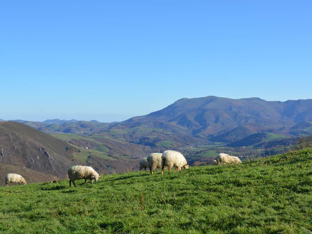 Gite Izarrak_Compostelle_pays basque_paysage