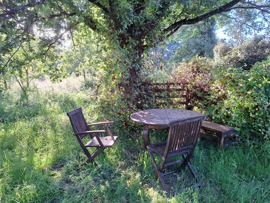 coin-repas-exterieur-sous-chenes-nature-camping-masserac.jpg