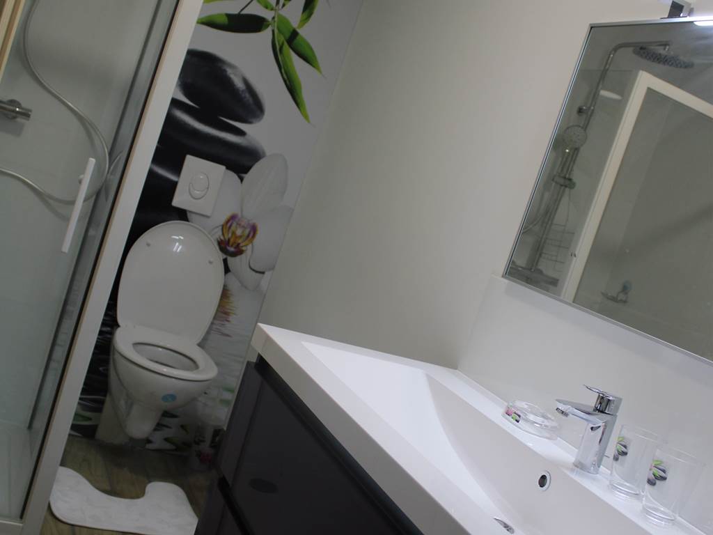 Une salle de bains avec douche attenante à la chambre d'hôtes et individuelle