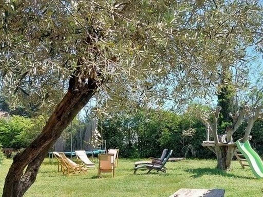 Le jardin espace de détente