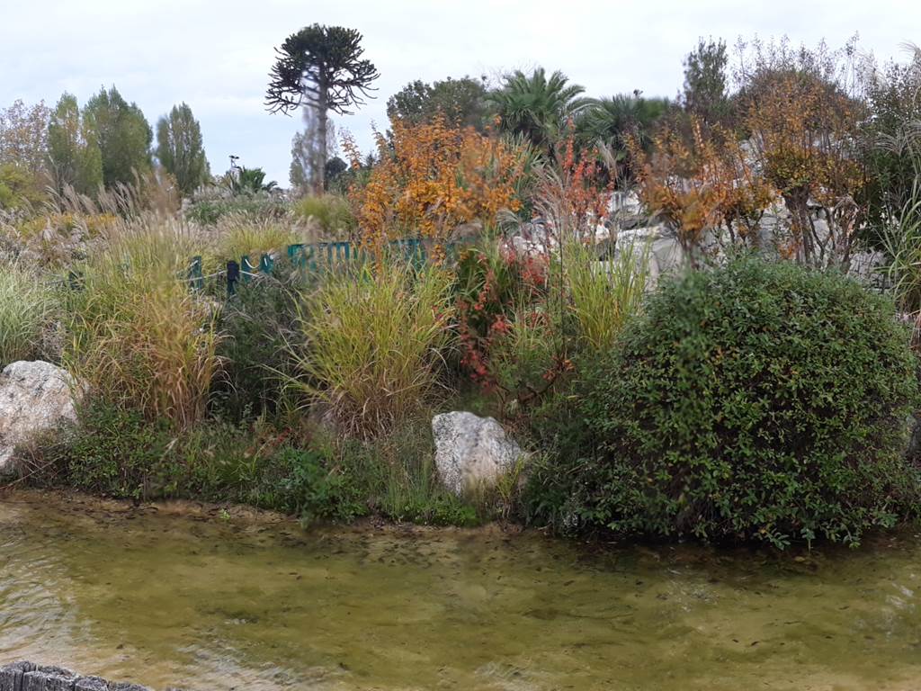 le bassin sur le parcours rouge