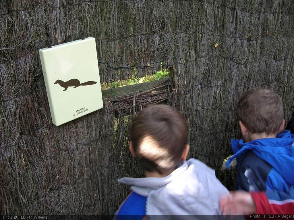 Voir sans être vu au Parc Chlorophylle