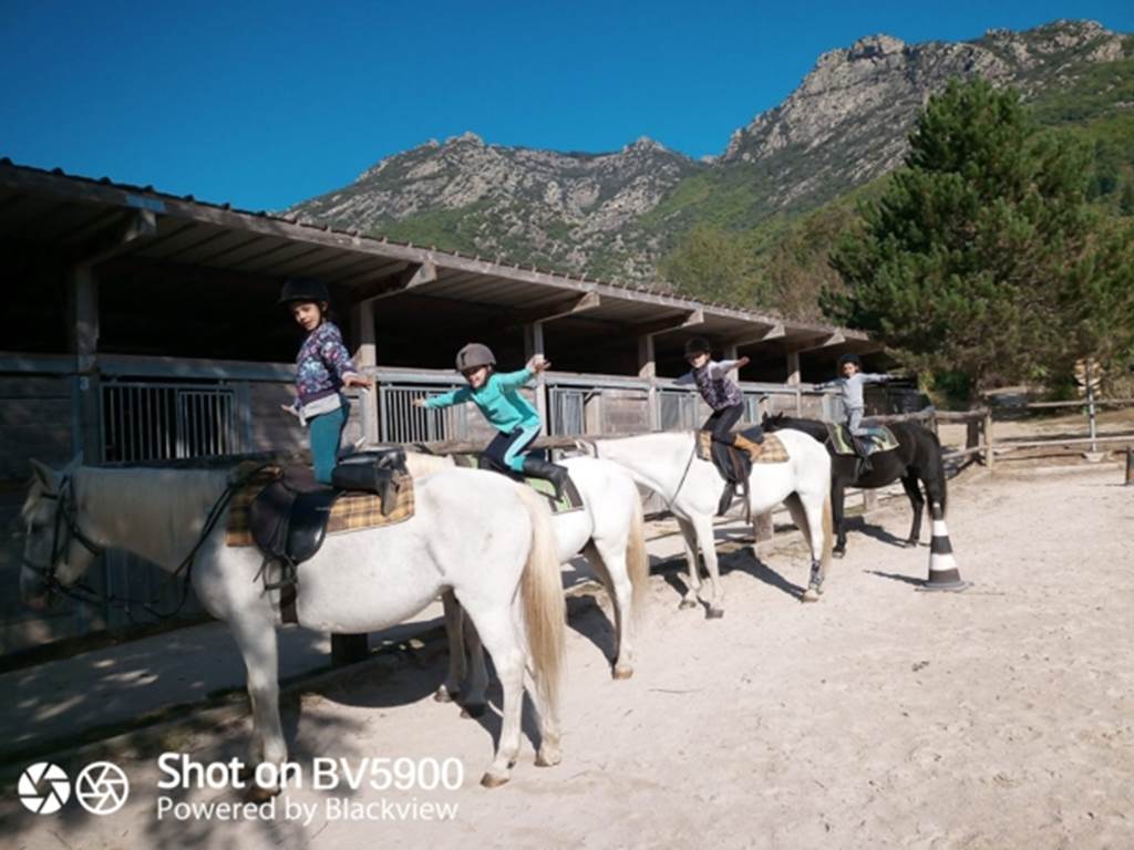 6808b6b86b673334073566