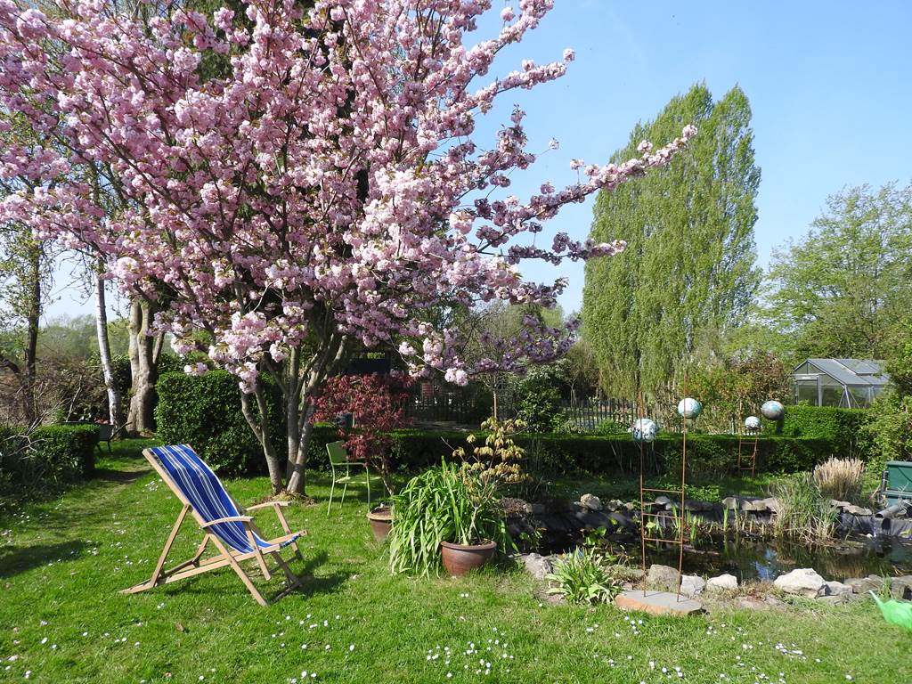 Jardin 3