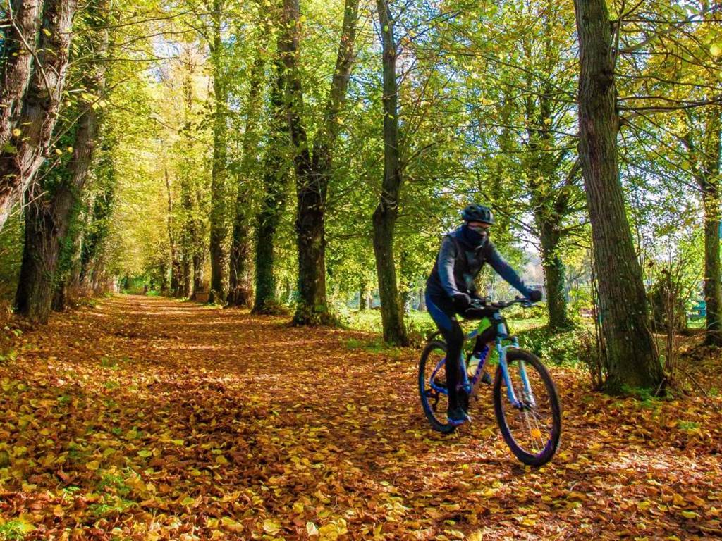 Entre sentiers boisés et paysages vallonnés, la forêt d’Hesdin offre des itinéraires vélo idéals pour un séjour actif au cœur du Pays des 7 Vallées.