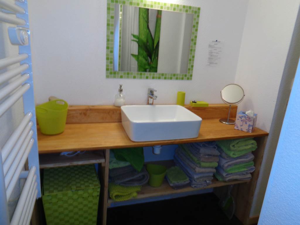 chambre spiruline salle de bain