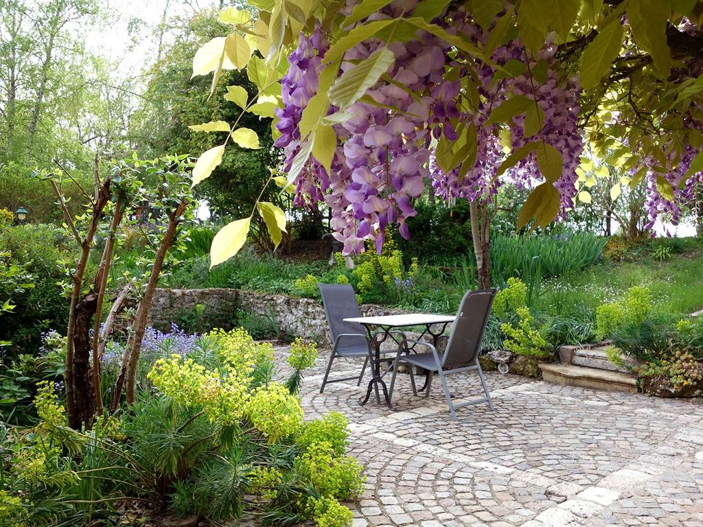 photo terrasse glycine