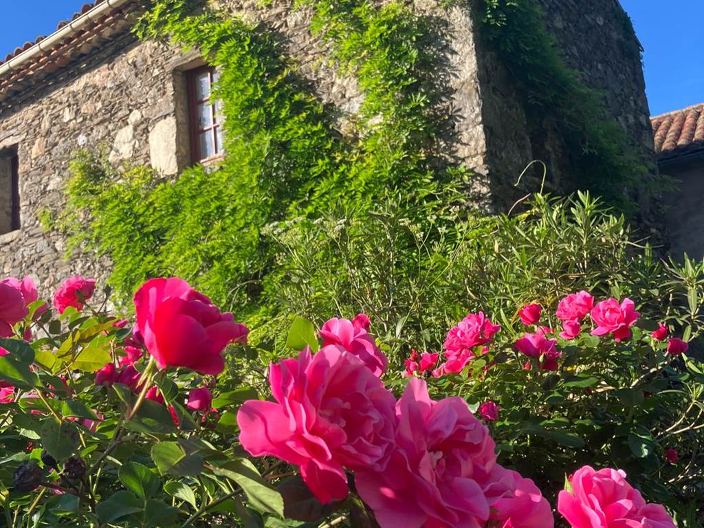 Le printemps dans les Cévennes
