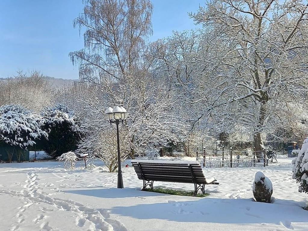 Le jardin du B&B Windsor sous le soleil et la neige
