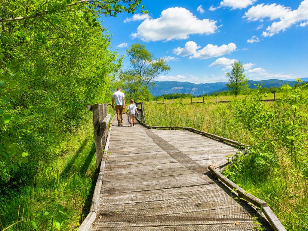 Les Marais de Lavours et leur promenade sur pilotis