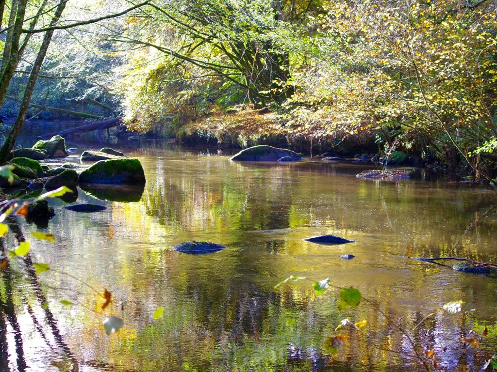 reflet d'automne