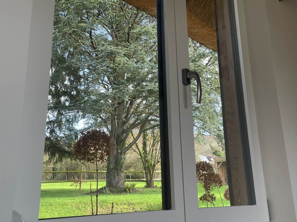 La chaumiere sous le regard du grand cedre