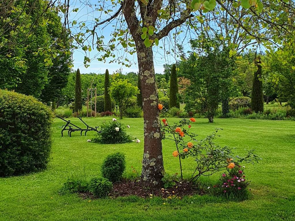 jardin