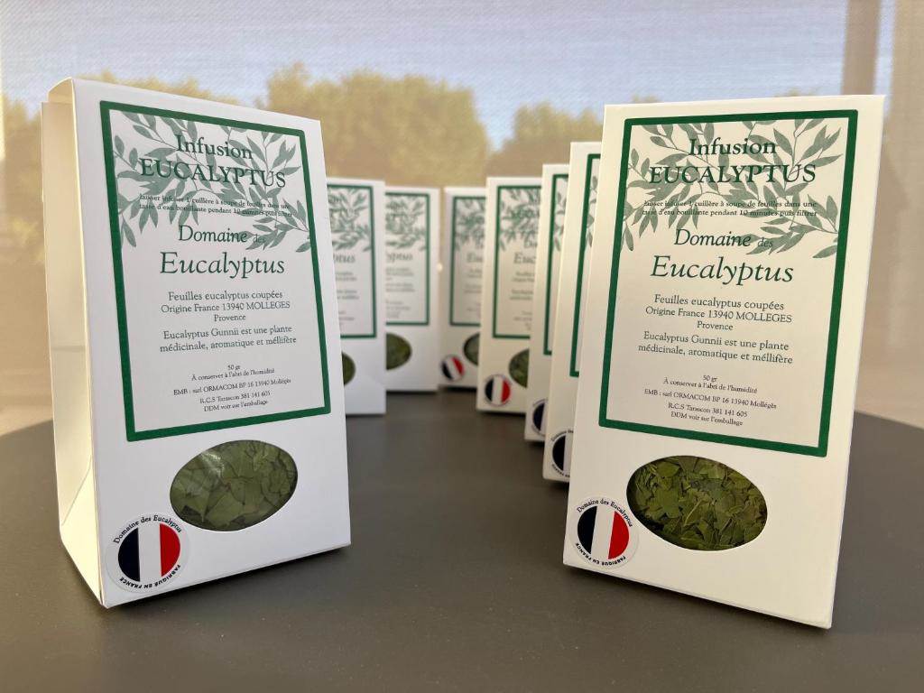 TISANE EUCALYPTUS