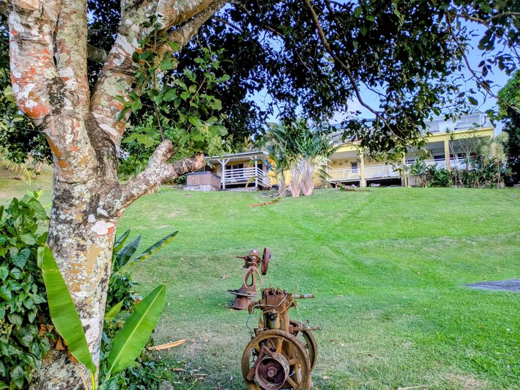 SOLEIL COUCHANT VU DEPUIS LE JARDIN