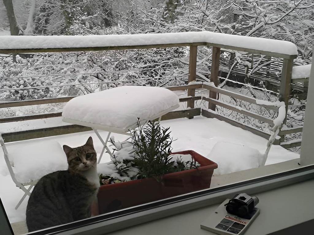 Les-Tilleuls-Bed-Breakfast-a-Vielsalm-neige-Haute-Ardenne