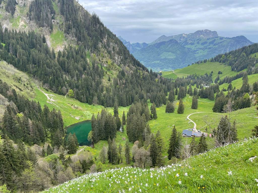 Randonnée proche du studio - lac de montagne et Moléson au loin