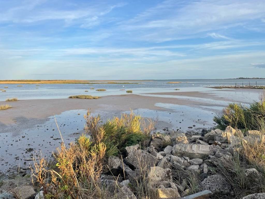 L'Estran à marée basse