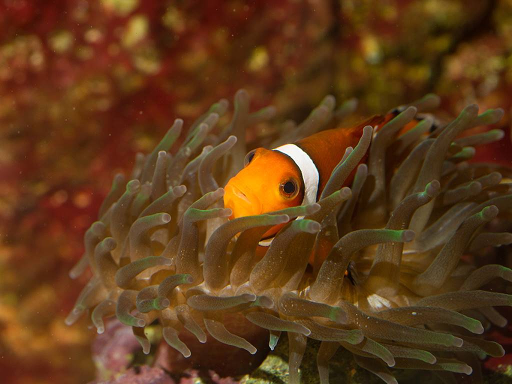 AQUARIUM DU LIMOUSIN A LIMOGES