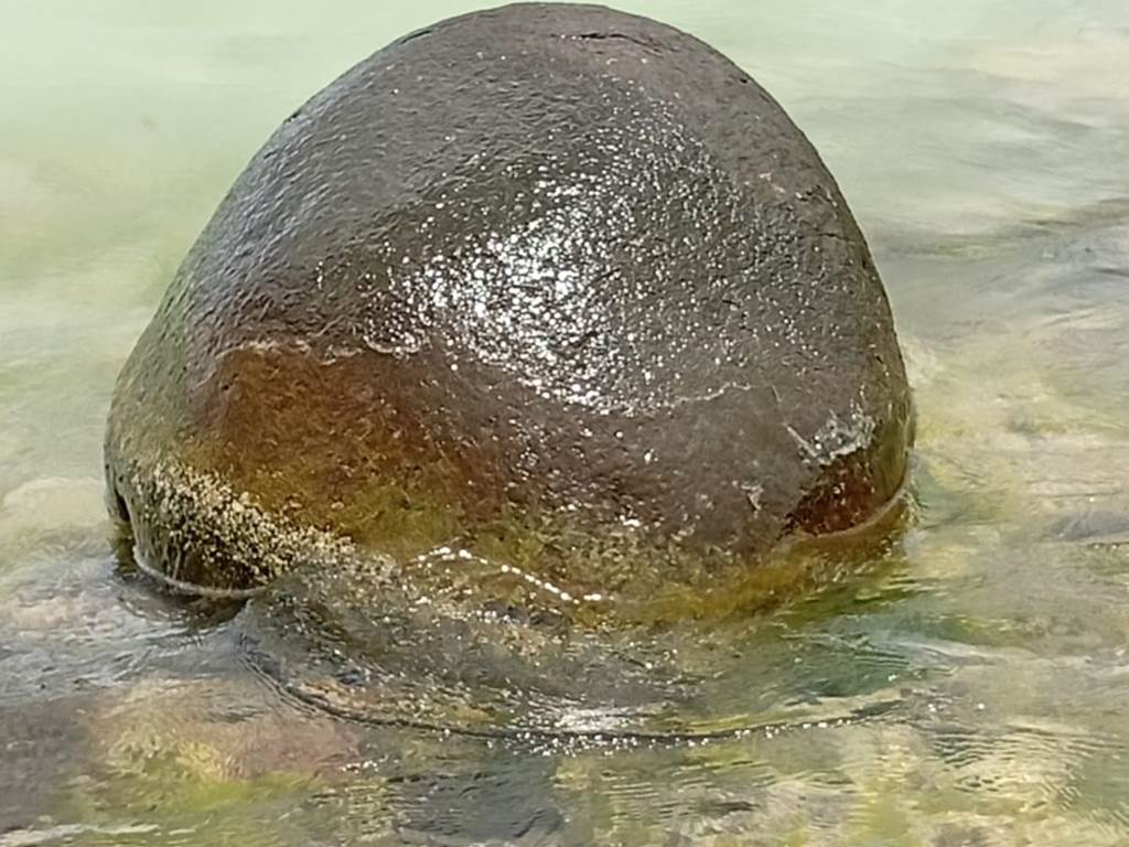 Serenite-calme-apaisement-nature-l-or-des-caraibes-sainte-anne-guadeloupe