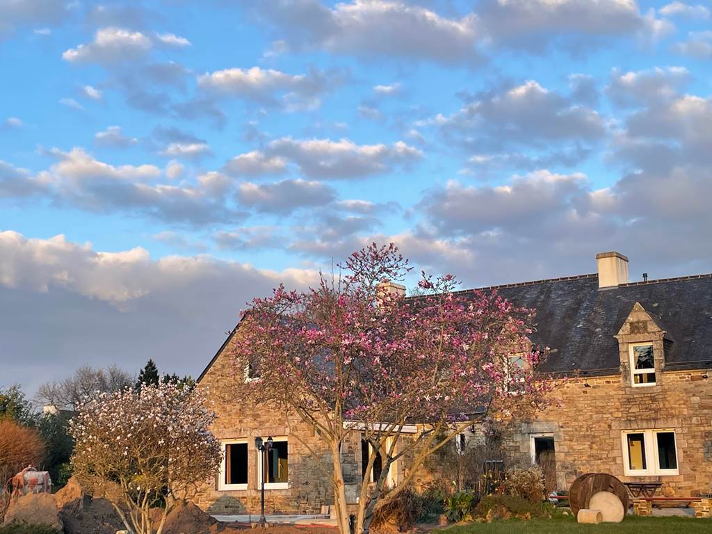 Maison et arbres en fleurs mars 2025