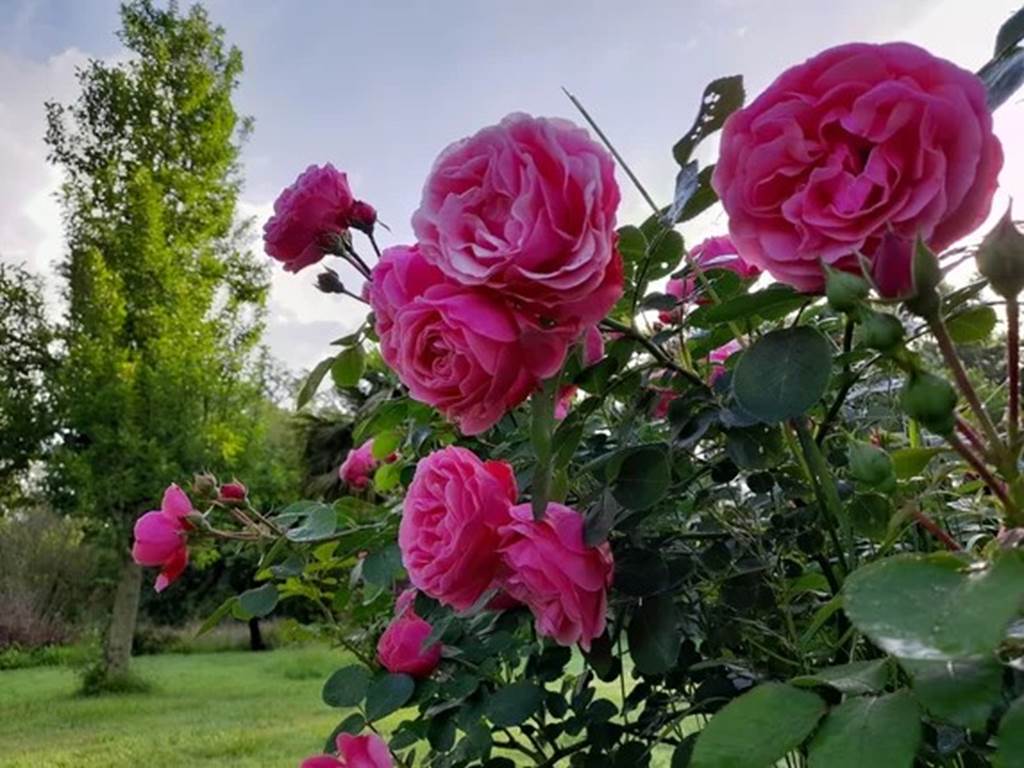 20240527_083104-high