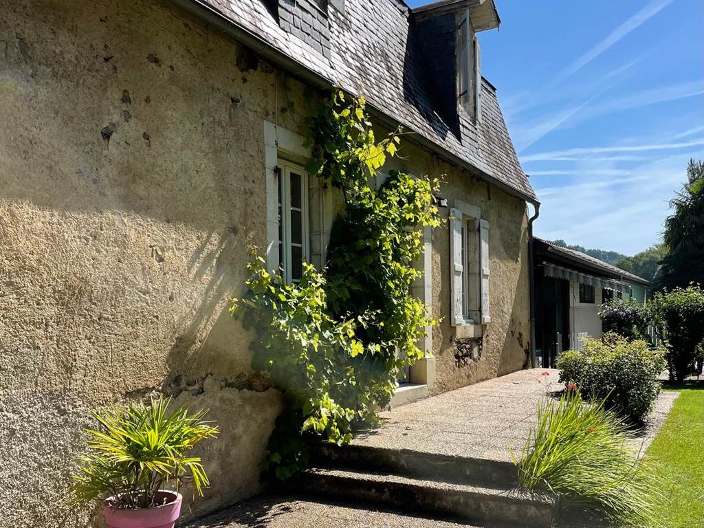 La vigne de La Caminade!