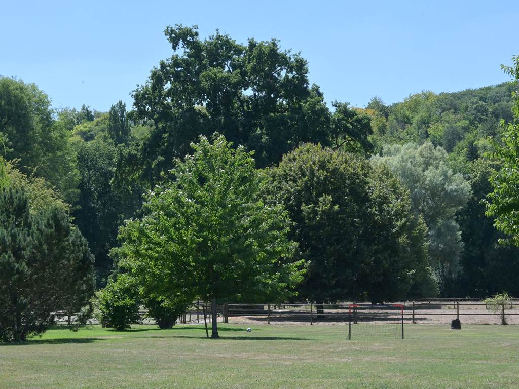 Vue sur le parc arboré