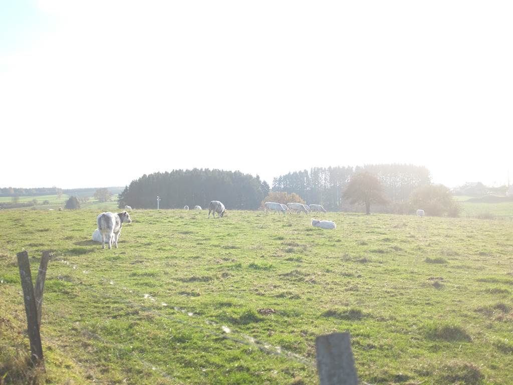 Balade dans le village