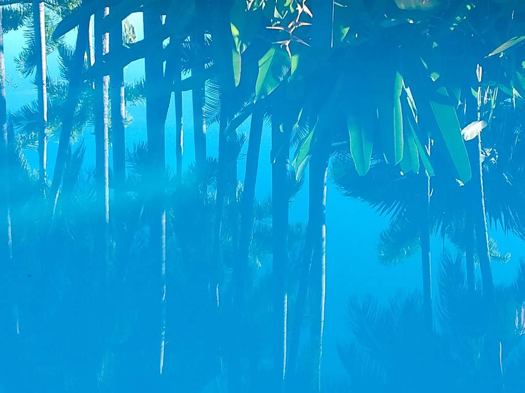 la vie en bleu