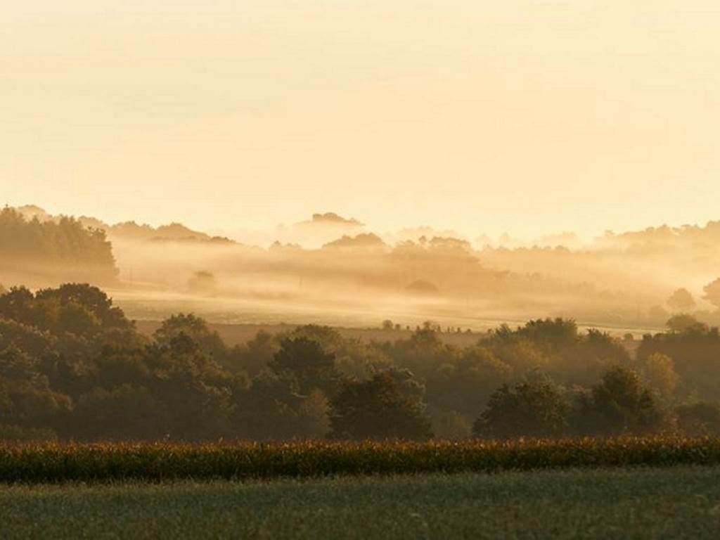 Les landes de Lanvaux