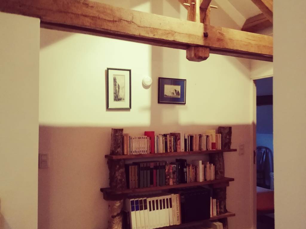 palier de la mezzanine avec sa bibliothèque